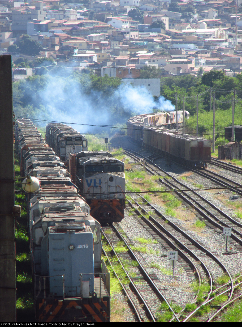 VLI 4816